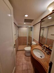 Cavenagh Lodge (D9), Apartment #620373421